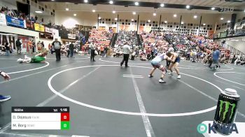 155 lbs Quarterfinal - Deonte Dejesus, R.A.W. vs Mason Borg, Dark Cloud Wrestling Club