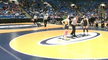 120 lbs Champ. Round 1 - Brynnley Krauchun, Tinley Park (Andrew) vs Amelia Nidelea-Polanin, Hampshire