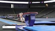 Ella Mikus - Vault, Future Gym Acad - 2022 Elevate the Stage Toledo presented by Promedica