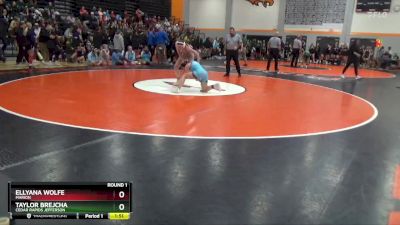 113-115 lbs Round 1 - Taylor Brejcha, Cedar Rapids Jefferson vs Ellyana Wolfe, Marion