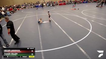 45-47 lbs Quarterfinal - Archer Anderson, Owatonna Wrestling Academy vs Tucker Oellien, St. Francis Gladiators