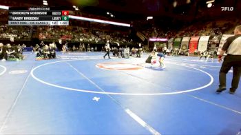 105 Class 2 lbs Semifinal - Brooklyn Robinson, Northwest vs Sandy Breeden, Liberty