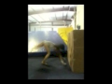 Casting and Cast Handstands (Supplemental drill)