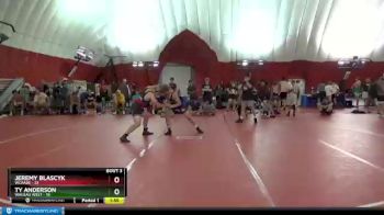 170 lbs Round 2 (4 Team) - Ty Anderson, Wausau West vs Jeremy Blascyk, WCAABE