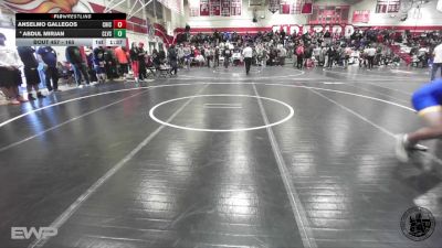 165 lbs Champ. Round 2 - Anselmo Gallegos, Chico vs Abdul Mirjan, Clovis