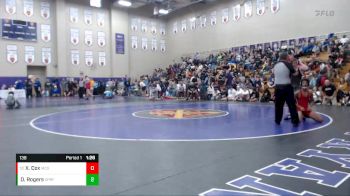 138 lbs Champ. Round 2 - Xzavier Cox, McGavock vs Donald Ray Rogers, Springfield