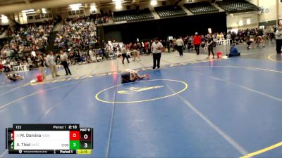 133 lbs Champ. Round 2 - Michael Domino, Northeast Oklahoma vs Austin Thiel, Northwest Kansas Technical College