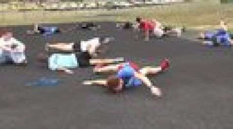 WOW - W.W.P. North and The Rosas