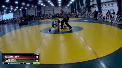 84 lbs Rd# 2 10:30am Friday - Anze Williams, Team Michigan vs Mac Burns, Nauman Green