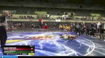 106 lbs Finals (8 Team) - Alex Hornyak, Waverly - Shell Rock vs Louis Prouty, Apple Valley