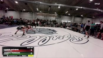 113 lbs Champ. Round 3 - Andrew Pedregon, Skyview vs Cooper Mathews, Cherokee Trail