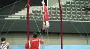 Japan (Kohei Uchimura) - dismount