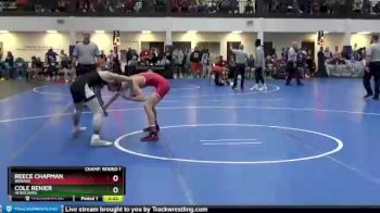 125 lbs Champ. Round 1 - Cole Renier, Heidelberg vs Reece Chapman, Wabash