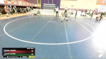 113 lbs Champ. Round 1 - Tohmi Carney, OK vs Logan Schad, WI