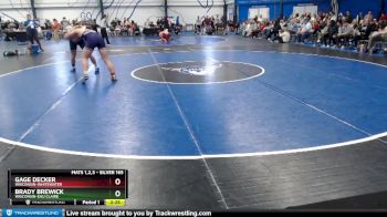 Silver 165 lbs Quarterfinal - Gage Decker, Wisconsin-Whitewater vs Brady Brewick, Wisconsin-Eau Claire