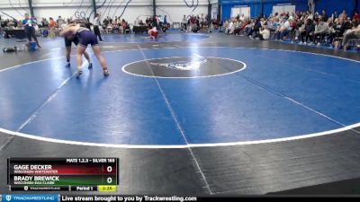 Silver 165 lbs Quarterfinal - Gage Decker, Wisconsin-Whitewater vs Brady Brewick, Wisconsin-Eau Claire