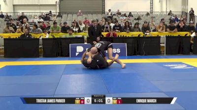 Tristan James Parker vs Enrique March 2025 World IBJJF Jiu-Jitsu No-Gi Championship
