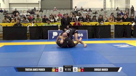 Tristan James Parker vs Enrique March 2025 World IBJJF Jiu-Jitsu No-Gi Championship