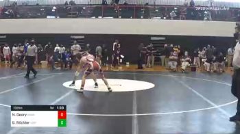 132 lbs Final - Nick Geary, Brandywine Heights vs Grady Stichler, Northern Lebanon