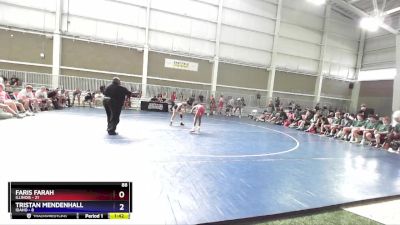 88 lbs Semis & 1st Wrestleback (8 Team) - Faris Farah, Illinois vs Tristan Mendenhall, Idaho