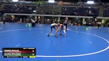 95 lbs Cons. Semi - Royden Roslansky, Victory School Of Wrestling vs Tanner Henzler, Victory School Of Wrestling