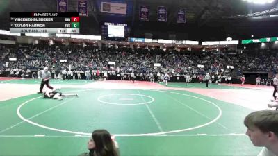 126 lbs Cons. Round 2 - Taylor Harmon, FWCA vs Vincenzo Busdeker, Unattached