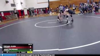 138 lbs Quarterfinal - Michael Olsen, University vs Aiden Palmisano, University