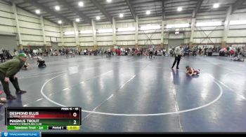 45 lbs Semifinal - Magnus Trout, Wasatch Wrestling Club vs Desmond Ellis, Olympus Wrestling