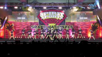 Fierce Idaho - Cheetahs [2025 L4 Senior Coed - Medium Day 3] 2025 Spirit Sports Grand Nationals