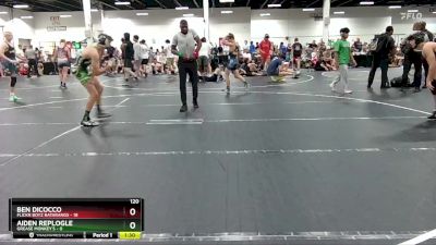 120 lbs Round 4 (6 Team) - Ben DiCocco, Flickr Boyz Batarangs vs Aiden Replogle, Grease Monkey`s