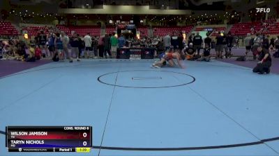 144 lbs Cons. Round 6 - Wilson Jamison, TN vs Taryn Nichols, MO