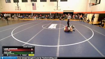 120 lbs Champ. Round 3 - Kam Luif, Lombard (MONTINI) vs Lane Anderson, AMERY (WI)