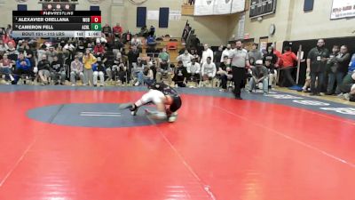 113 lbs Quarterfinal - Alexavier Orellana, Woburn vs Cameron Fell, Ashland