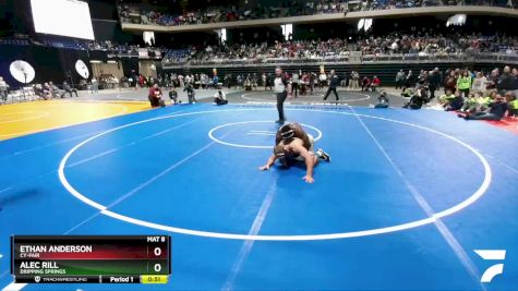6A 215 lbs 3rd Place Match - Alec Rill, Dripping Springs vs Ethan Anderson, Cy-Fair