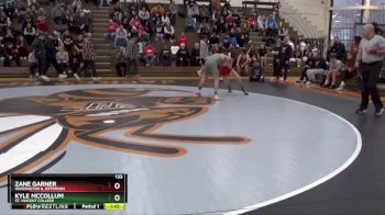 133 lbs Quarterfinal - Kyle McCollum, St. Vincent College vs Zane Garner, Washington & Jefferson