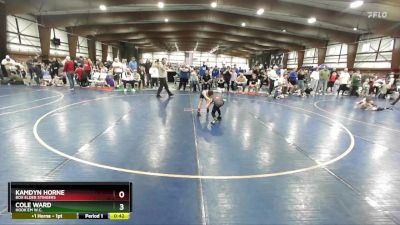 61 lbs Champ. Round 2 - Kamdyn Horne, Box Elder Stingers vs Cole Ward, Hook`Em W.C.