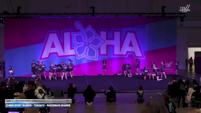 Cheer Sport Sharks - Toronto - Razorback Sharks [2025 L4 - IASF