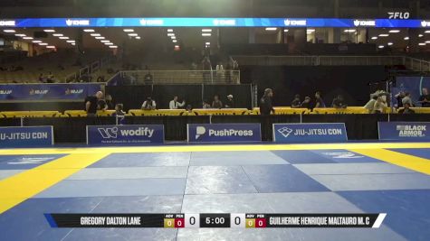Colton Anthony Wegrzyn vs Aaron Shannon Dixon 2026 Pan Jiu Jitsu IBJJF Championship