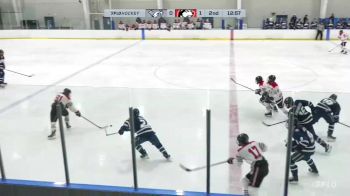 Replay: Home - 2025 UNH vs Northeastern | Feb 23 @ 3 PM