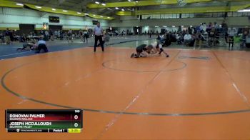 165 lbs Quarterfinal - Donovan Palmer, Baldwin Wallace vs Joseph McCullough, Delaware Valley