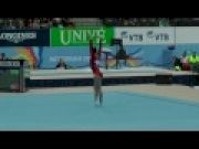 Sui Lu FX TQ - 2010 Worlds