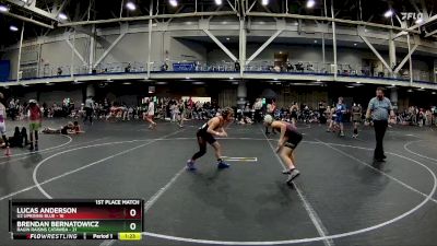 84 lbs Finals (2 Team) - Brendan Bernatowicz, Ragin Raisins Catawba vs Lucas Anderson, U2 Uprising Blue