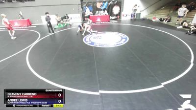 108 lbs Quarterfinal - Deaveny Carreno, Blazers Wrestling Club vs Andee Lewis, Down River Freestyle Wrestling Club