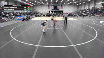 103 lbs Round 1 (3 Team) - Benedetto Annoscia, Minisink Valley vs Damon Heames, Carthage Sr HS