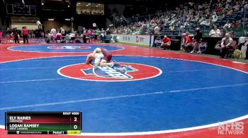 4A-138 lbs Quarterfinal - Logan Ramsey, West Laurens vs Ely Raines, Chestatee