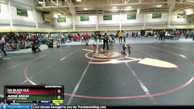 100 lbs Quarterfinal - Averie Brehm, Rapid City Extreme vs Iva Black Elk, Tatanka Tuff