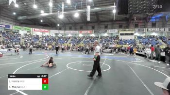 46 lbs Consi Of 4 - Lawsen Harris, Bald Eagle WC vs Kai Molina, Southwest Hammers