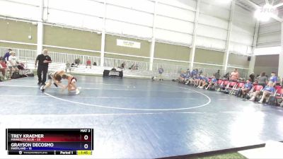 88 lbs Quarterfinals (8 Team) - Trey Kraemer, Minnesota Blue vs Grayson DeCosmo, Maryland