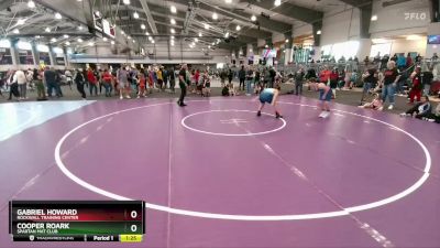 224 lbs Quarterfinal - Gabriel Howard, Rockwall Training Center vs Cooper Roark, Spartan Mat Club