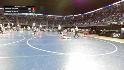 125 lbs Quarterfinal - Peyton Segata, Council Rock South vs Oslynn Borich, Shikellamy